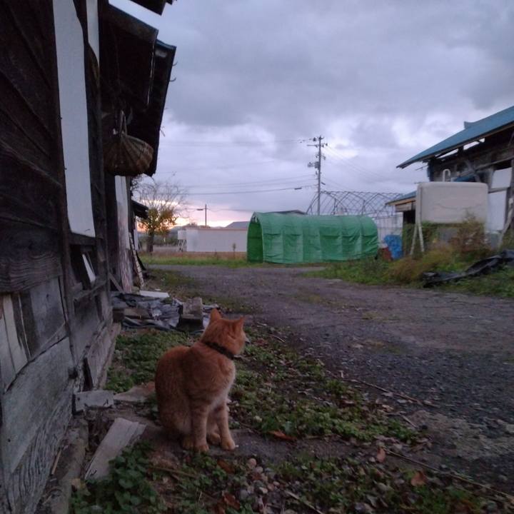 142c8c15 adb7 4e60 b057 1e698e83711f 1667944878862