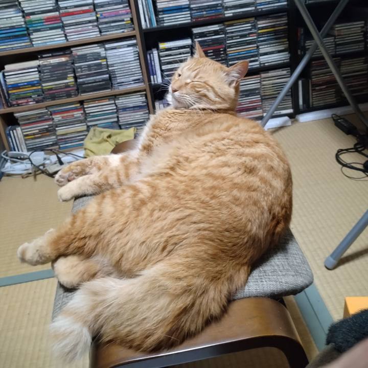 142ca84f 88bc 42f4 9cd2 17eef51bcebd 1686573680906