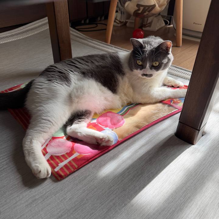 142cfa12 fe09 46f5 88ed 4a01b51e46e1 1761790983747