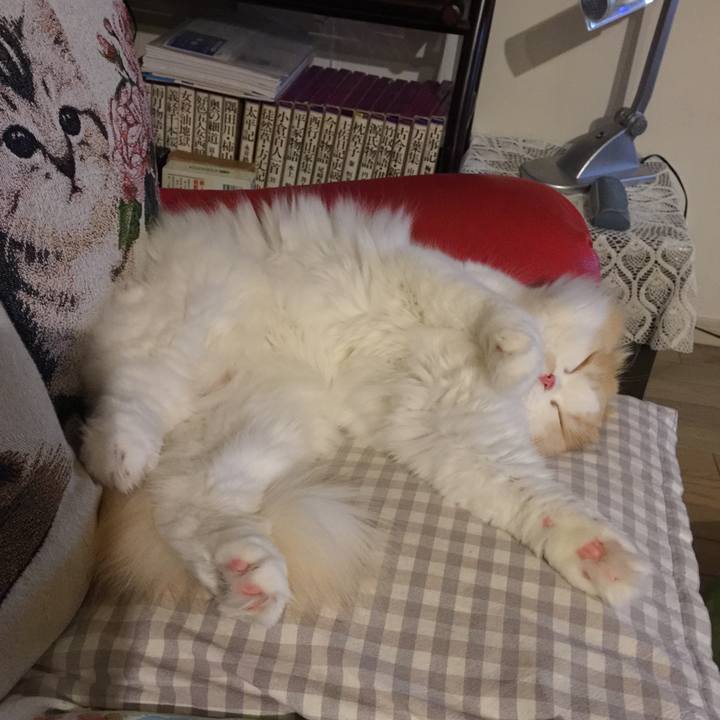 142d3123 fcce 4c82 8bb8 2419f775d3be 1517318043301