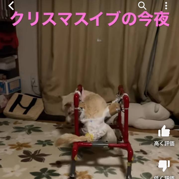 142d3d93 f4ca 4c96 91d4 5413ae67ff5f 1671910489778