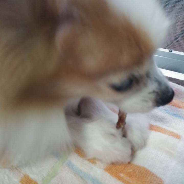 142d546b c425 4e0a b51d 379fcfe686c8 1538295973426