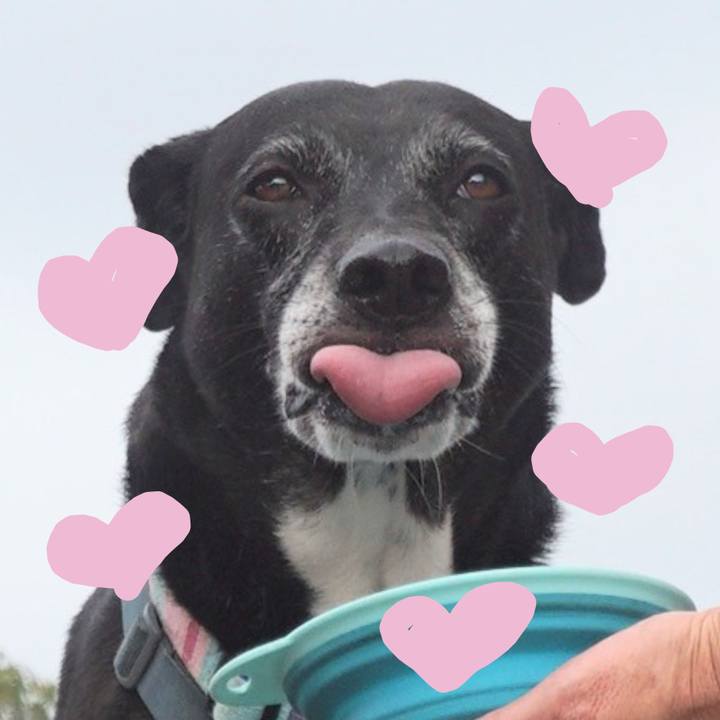 142d629b bd94 41b4 b111 7603de62cc87 1755046340777