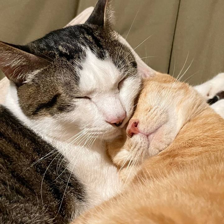 142daa5d 7452 44bf 8595 5e20aa73dc40 1765674367807