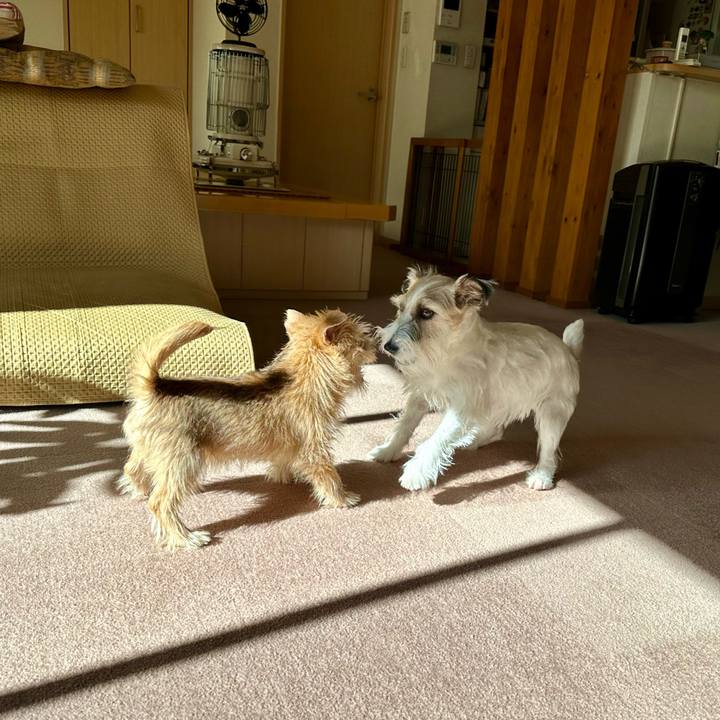 142db64f 5552 4893 bc25 1cc70c38c1a0 1704638421023