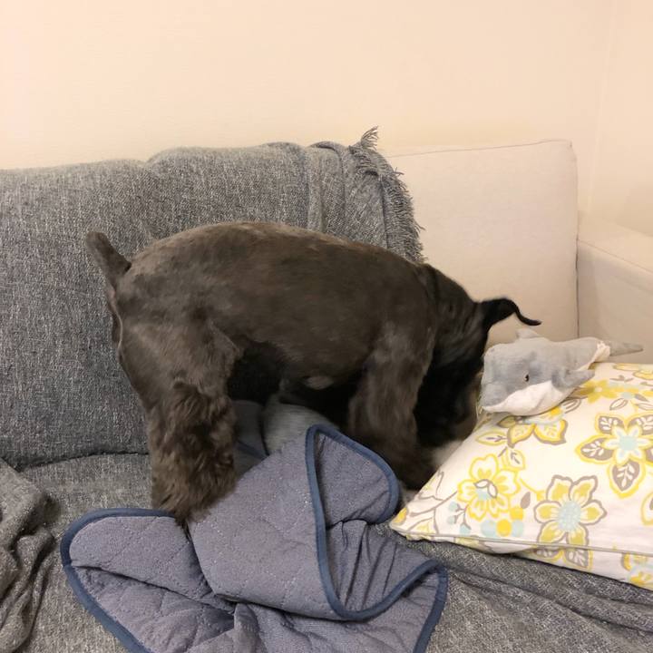 142e2297 02c0 4863 8daa 933e4f32ebf1 1691317538287