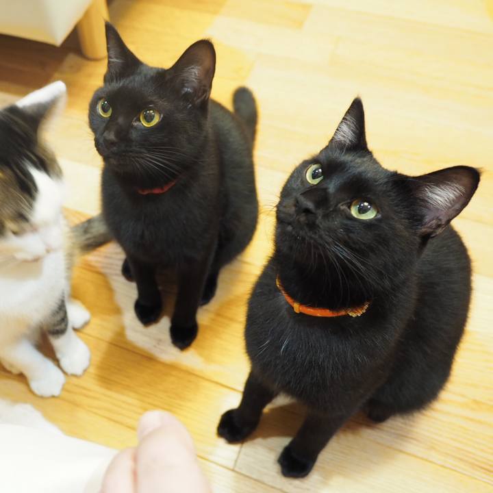 142e22d1 8831 4b57 81c7 6693985f0768 1537487136611