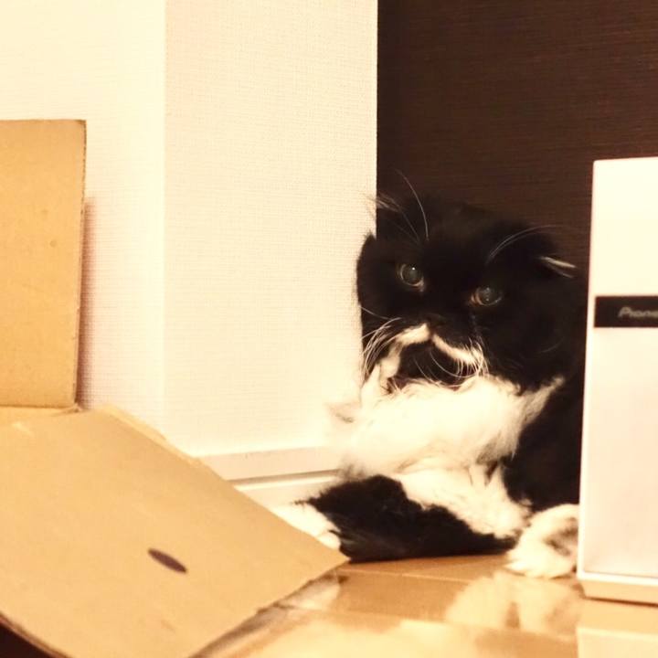 142e47fc 8f7a 41c7 b603 0cfc1e7eb2e0 1525399799041