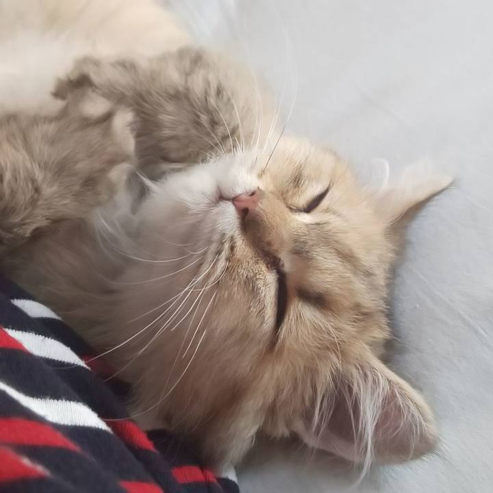 142e679b 5995 48ff b6c6 809ed45ae52f 1557469027501