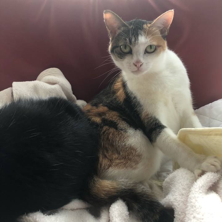 142e8dc2 05d3 462a 8688 bee9acfb318e 1603243348403