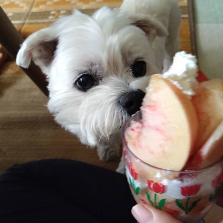 142ea8ee a371 4bbb 9d27 206b26788a3e 1691738492311