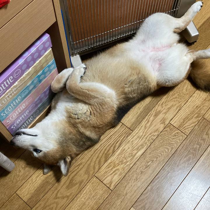 142eab69 b0b9 4b43 bef6 6f1c493655fd 1727444378250