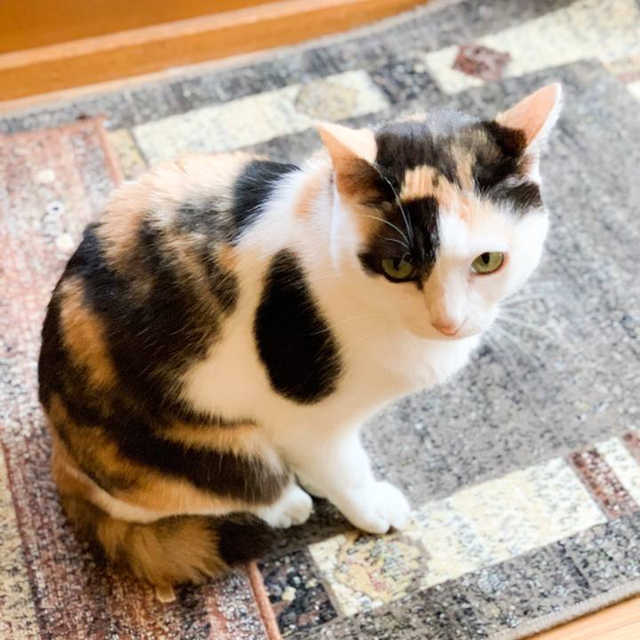 142ebb27 9a83 41d0 950d 0046ace72284 1593143391211