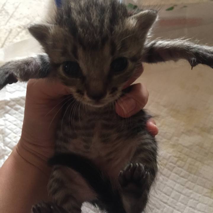 142fda4e 1a57 449f a0c8 c1032fe9fe36 1531634242924