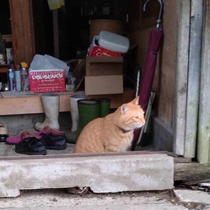 142fdc41 7f7d 4bcd 9bd6 665ebb741732 1664054220573