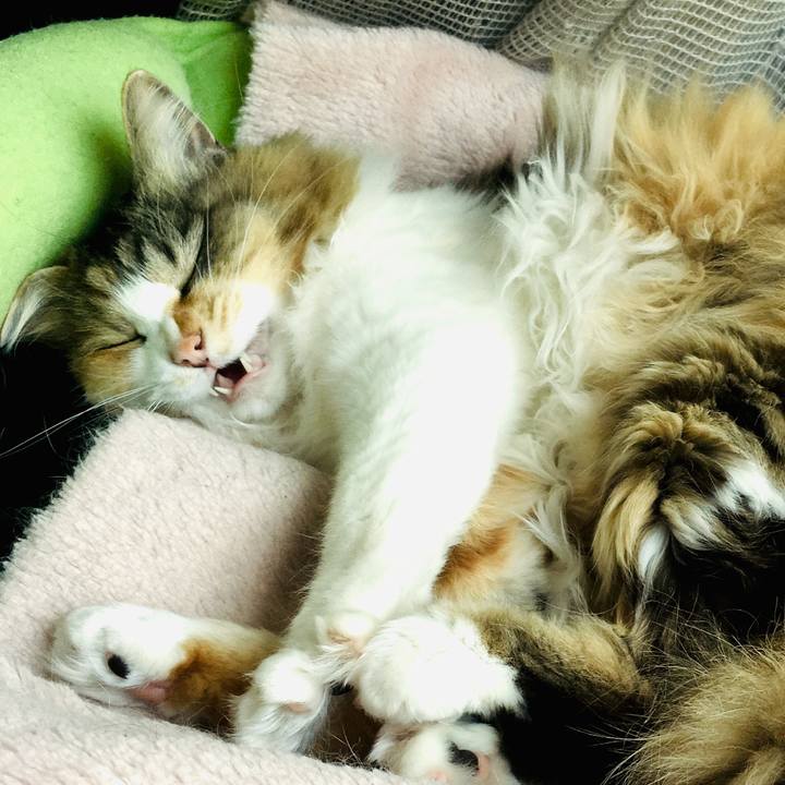 142fdeb1 6dd2 4d9d 9d17 0d7cc37ceeba 1557628575109