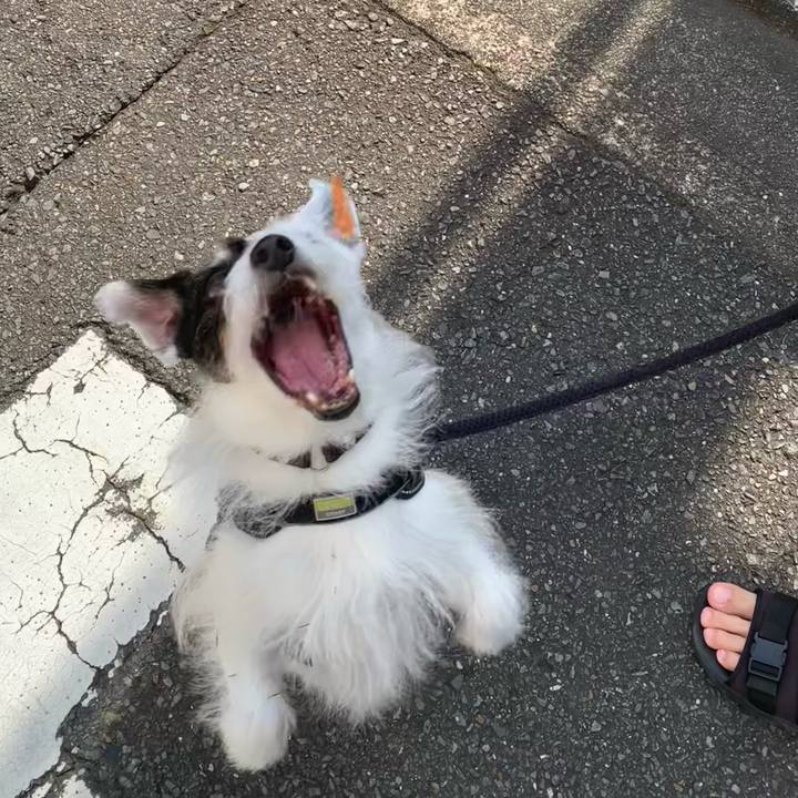 14303ef0 8b43 4ba8 be3d 82b835150461 1751064650622