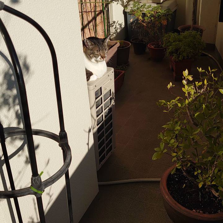 14304ab9 c0c6 4cae bb54 ebde427d8499 1611967761287