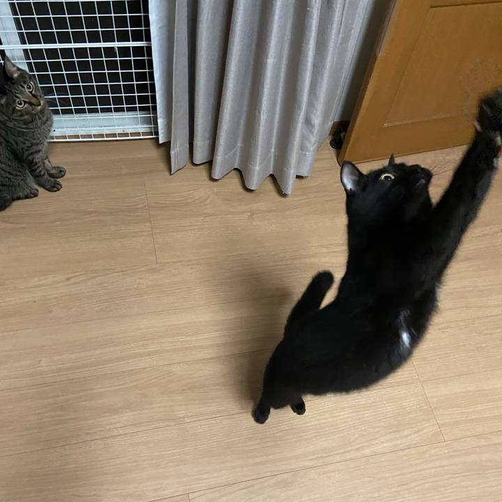 14308299 bfcd 4d2e bf22 718366f38a62 1652360792748