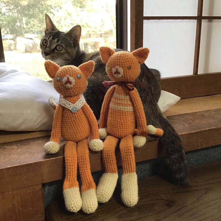 1430aa6b 760c 4e28 8298 04b5f89a2e7a 1574578454485