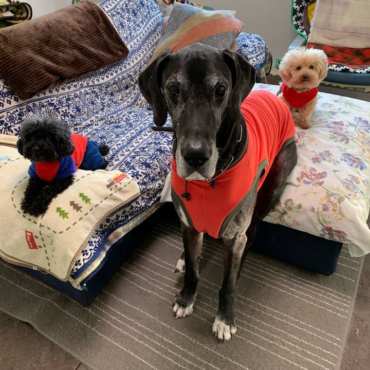 1430aa8e a4f3 4bfc 9c38 047e49caf6f9 1584309418477