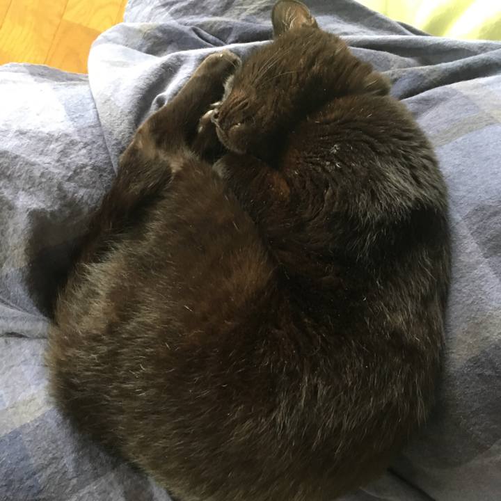 1430d270 f79a 4232 bb4a f645176f7b02 1533422637145