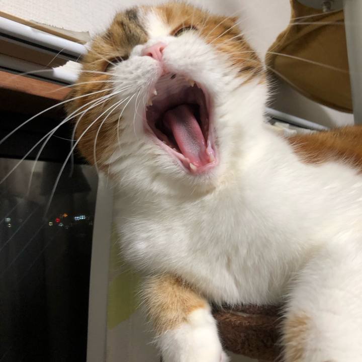 1430d441 7161 4aa4 9b05 bdbb6e16d76f 1575101969390