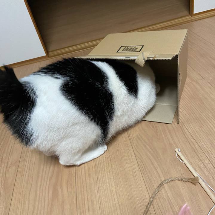 14315845 20b4 4ce1 ae5d 413298e49926 1588245174504