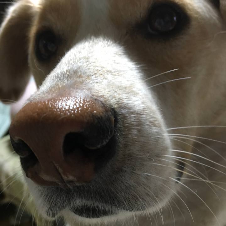 1431a401 4d3b 4378 b7d9 9243d6654036 1516225176778