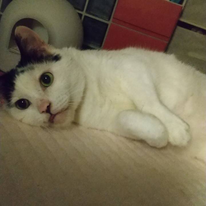 1431ad45 ec5d 4c46 84fb 0ca51cc5cb57 1626783462275