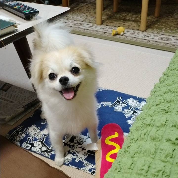 1431afc3 29c1 4add 93e3 d84d72b0667e 1629113865364