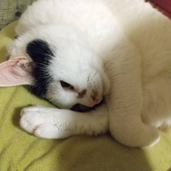 1431baa9 6144 4b9a 8ff9 7783bb442b32 1633529289647