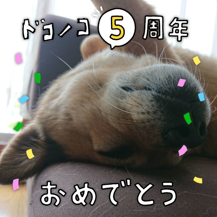 1432084f 1c0f 4fb0 b2e8 aa9980853e69 1622976404588