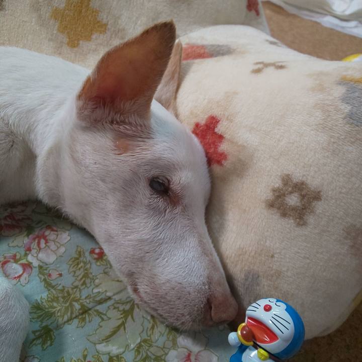 143222ec 154c 4779 a69f 8e6f04c664ef 1600995926625