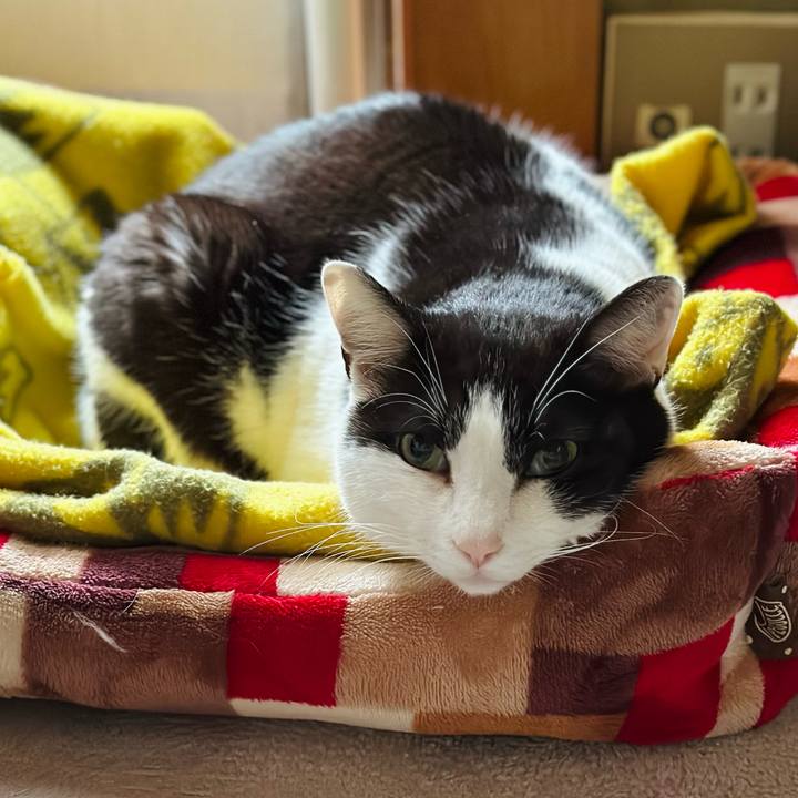 1432238b 16c0 4f86 831f bb6bf096a5e7 1680659177750