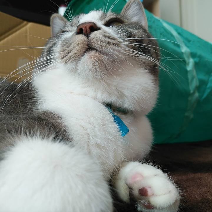 1432468a 69f1 45a3 9b2a 1b94595b0dff 1579589654521