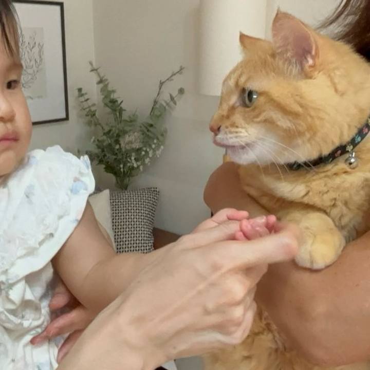 14325656 9d0f 4cac b629 fab679f97994 1723809559322