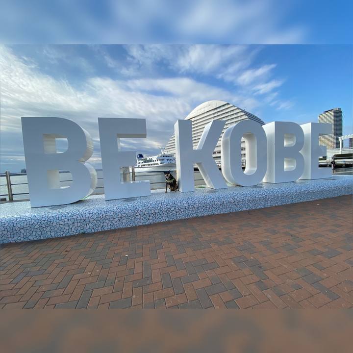 143279b7 8dd6 4893 8171 7ce22f405ff2 1586052547288