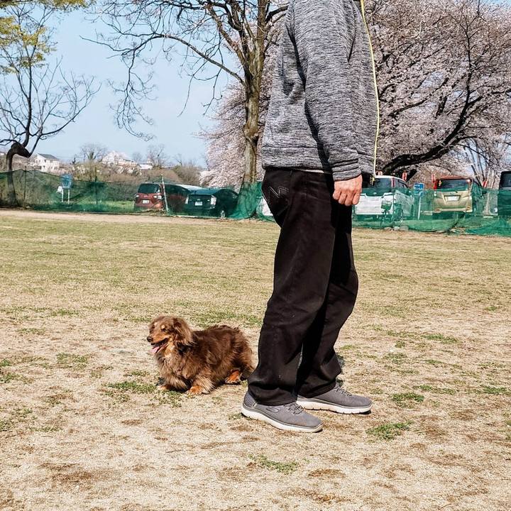 1432857b dff9 417c a32a 1277ef3b9fc4 1774750514220