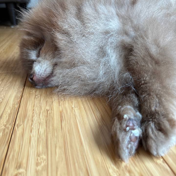 14330be2 eed7 4b58 ad7a 01f855308ec5 1774932497289