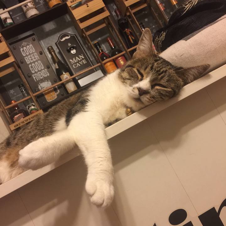 14331035 f19b 4f3d 836c f53b5887ea35 1565196229304