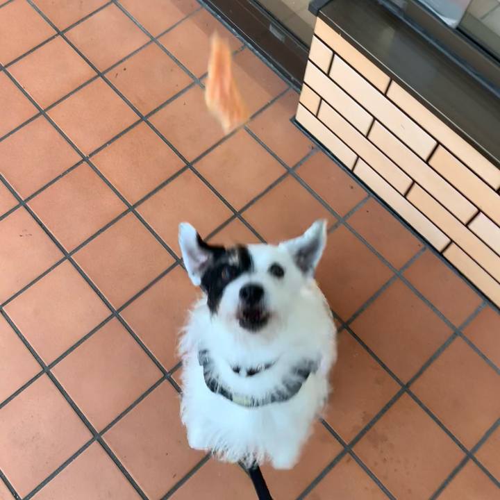 14331957 147c 44ee 8bf7 9298d0e22996 1755421141078