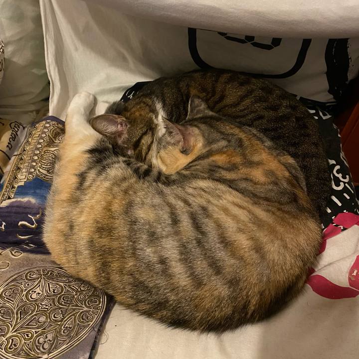 143323fe 22af 4617 81ec ff8e44fc5459 1668785776716