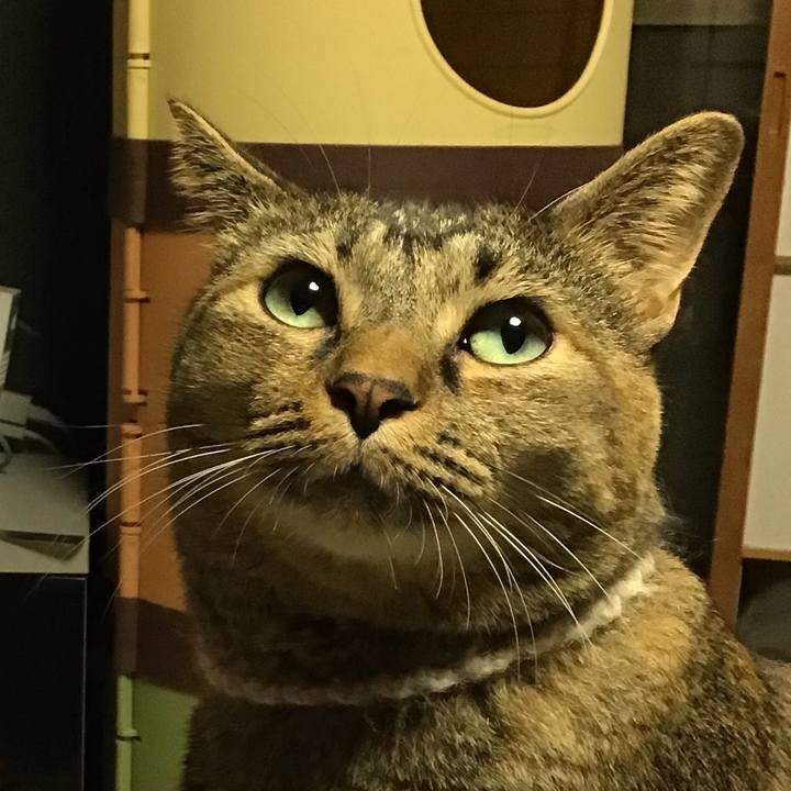 14333ead 9f02 42b8 8da0 3ff1b589b3d9 1665579858627