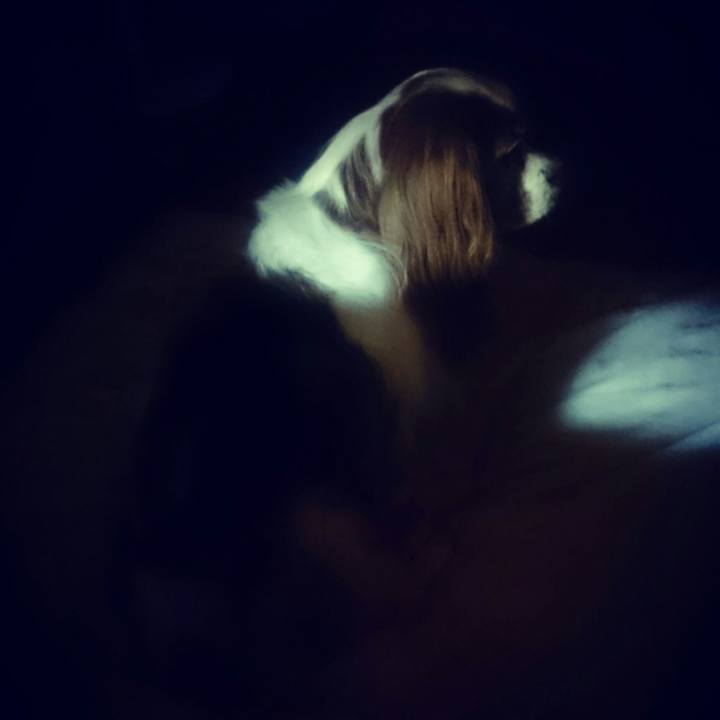 14335959 6a27 408b 8b35 efcde954ecb2 1540812517030