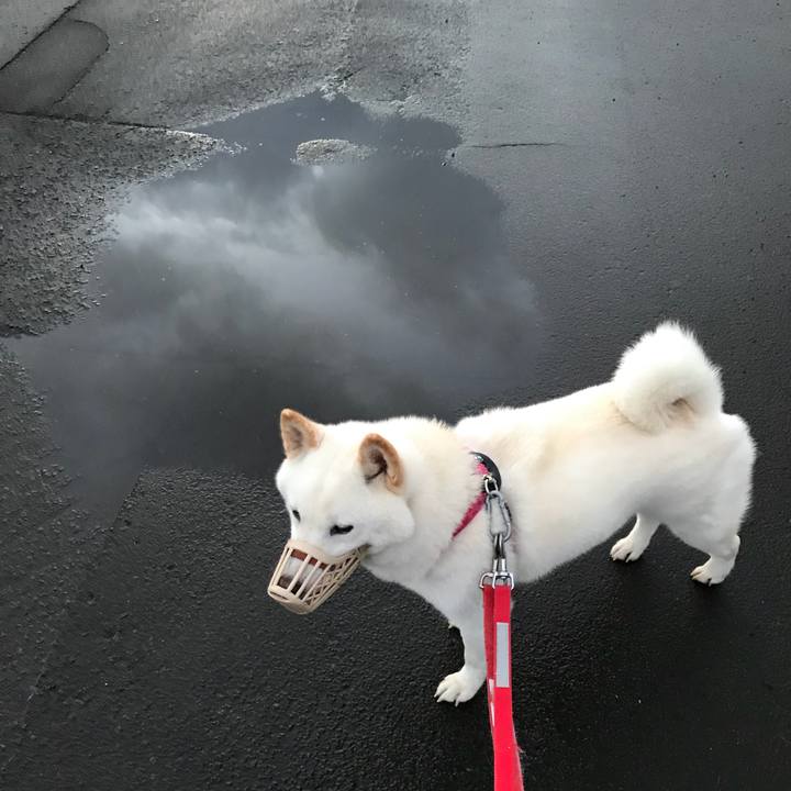 143384c3 994f 4108 bec0 a001f881c21d 1537669383016