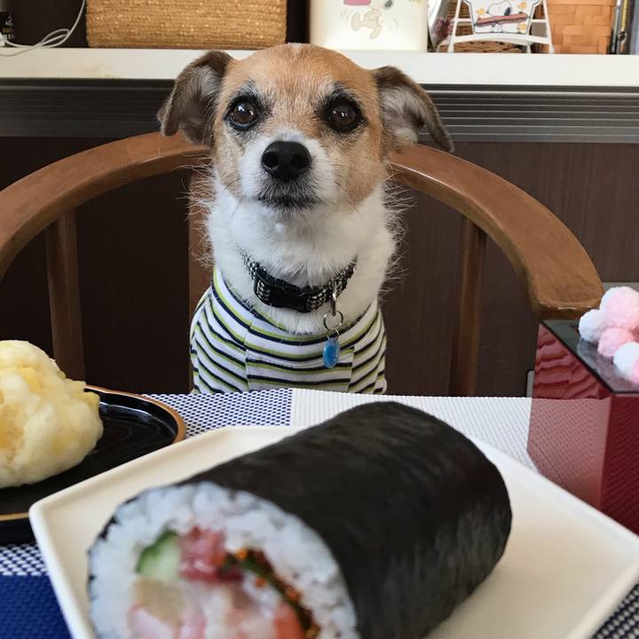 1433c9cf 1106 4f19 8138 14af99385da9 1549184430979