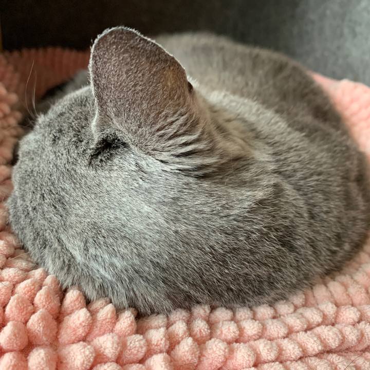 143402d7 9d97 42ac a858 c04c48b23714 1595554039838