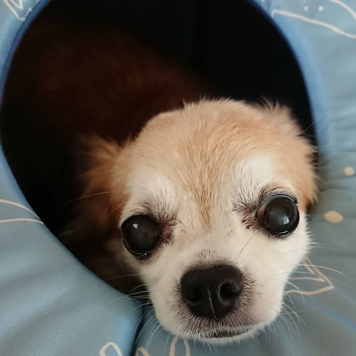 1434060c a774 4a9b 973f edf5b2df9cbc 1556021478378