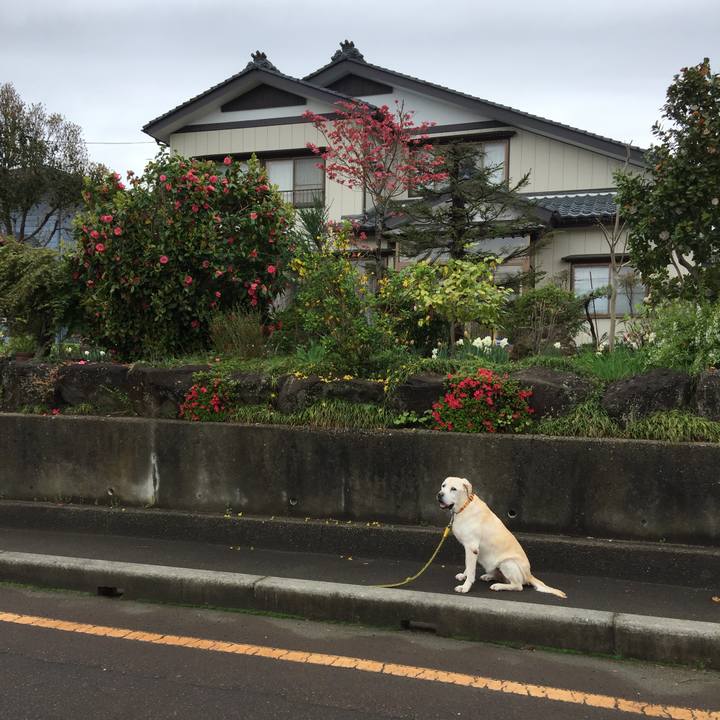 14344291 c2e5 483f b186 42870f5d5c38 1524621697425